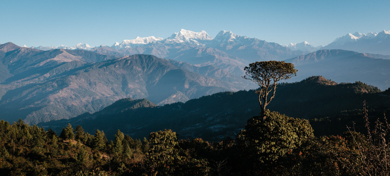 Illustration for article titled Nepal's Fifteen-Hour Jeep Ride From Hell